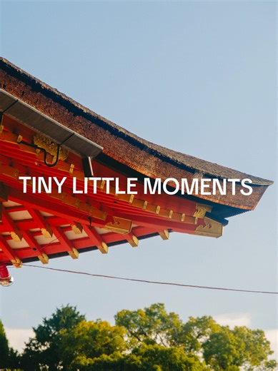 Tiny little moment 04 Kyoto Camera: Fujifilm XT4 Lens: Xf 16-80mm Filter: Nishi black mist @FUJIFILM X/GFX USA @Fujifilm Indonesia @Fujifilmx_ca @Fujifilm Philippines #japan #kyoto #travel #xt4 #travelvideography