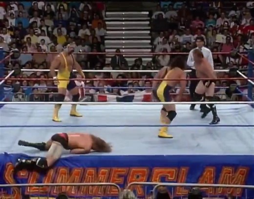 WWF Tag Team Title Match (C)The Steiner Brothers vs The Heavenly Bodies 📺 WWF SummerSlam 📅 August 30, 1993 #Wrestling | The Chronicles Of Wrestling