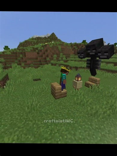 Java VS Bedrock Wither 💀