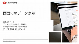画面でのデータ表示 [ja-JP / ODC]