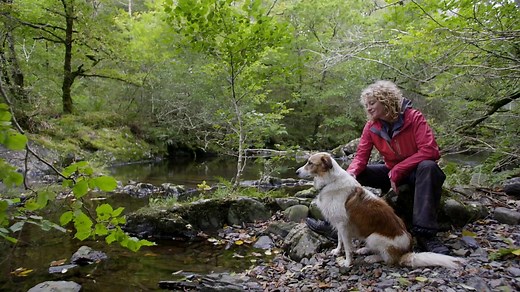 BBC One - Kate Humble: Off the Beaten Track, Series 2, Kate Humble and Teg explore Wales