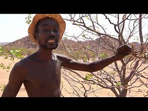 Namibia, Damara Language Click Language