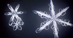 「雪の結晶」ができるまでを撮影　あの六角形はこんなふうに花開く【動画】