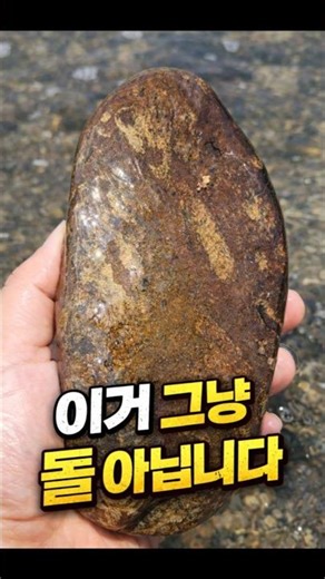 이거 그냥 돌 아닙니다 (정체 보고 놀랐습니다)