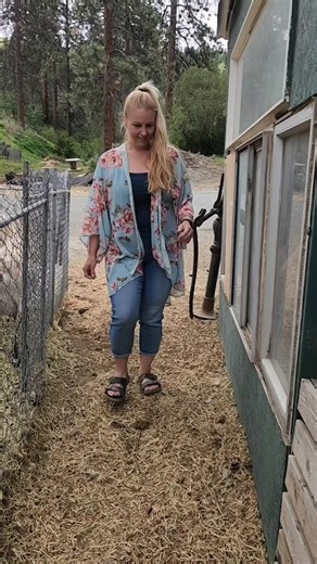 205K views · 7.5K reactions | Good Morning to All My Feathered Friends 李 #chicken #farmlife | Mountain Spring Homestead | Facebook