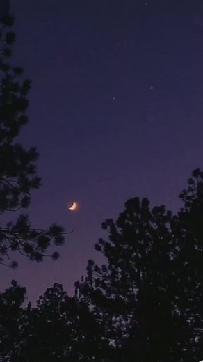 Os vídeos de I am Hossler/barrett🎸 (@bryce_hall_fc99) com original sound - I am Hossler/barrett🎸