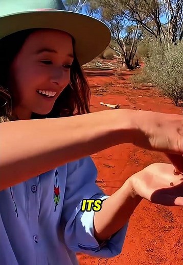 This Ant Is Edible?! Honey Pot Ant Tastes Like Honey 🍯🐜