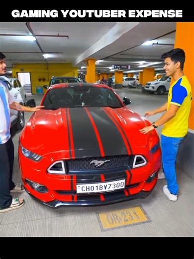 INDIAN YOUTUBER EXPENSE 🗿🔥 #gaming #youtubers #viral #foruyou