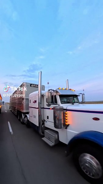 Dust to Dust: The Legacy of Cow Trucks