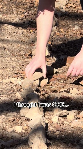 This is what my best friend got up to while I was weeding #gardening #ocd #farm #oklahoma #funny