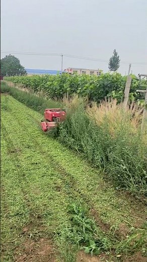 Remote Control Flail Mower | Best Slope Mower for Steep Hills & Rough Terrain #bestinmower
