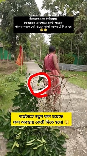 🥹🥹 #krishnavlog | Krishna Roy
