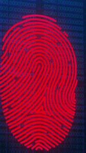 蓝色背景下的生物指纹扫描仪数字动画及数据处理 库存影片视频（100% 免版税）3945890771 | Shutterstock