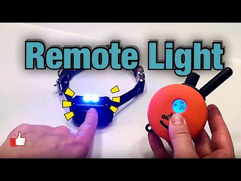How to Turn On/Off the Light of Your ET-300 Mini Educator E-Collar