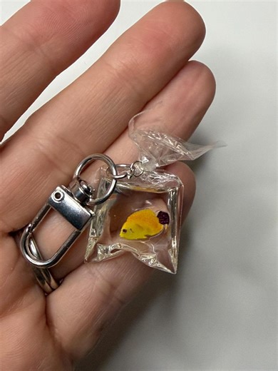 Tropical Fish Water Bag Keychain | Carnival Charm, Backpack Accessory - Etsy
