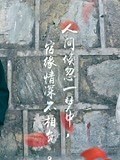 《司藤：精彩影视合集》-精彩合集-免费在线观看-爱奇艺