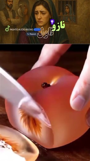 پښتو آډیو کتابونه او د نازو ناول