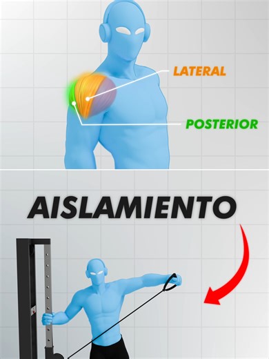 Entrenar Hombro a frecuencia 3 🥥🥥 Anatomía Simplificada: Deltoides (Hombros) Hacer crecer tus hombros es simple. Hasta el más principiante sabe cómo: Realizar ejercicios para las 3 partes del hombro: Deltoides anterior, lateral y posterior. Pero muchos se estancan ahí y no avanzan al siguiente nivel. Aquí te explico cómo conseguir mejorar tus entrenos aplicando conceptos clave como: ✅Frecuencia de entreno ✅Planificación y descansos ✅Técnica y rango de movimiento #ejercicio #hombro #elevaciones