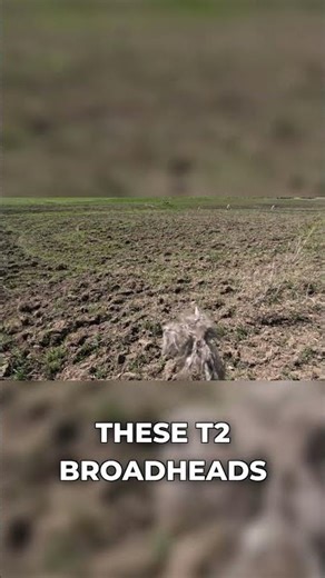 T2 Broadheads: Deadly Accuracy for Turkey Hunting!