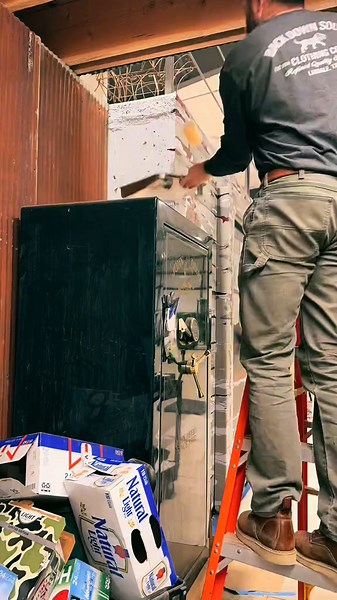 MURAL ina MINUTE: Unveiling Art Processes
