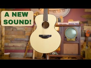 Mandolin Reinvented? Inside KR Strings' Mandolindo & Octolindo!