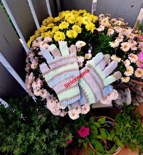 🧤 Schau mal! Handschuhe auf zwei Nadeln – ganz ohne Nähte! Anleitung ist bei erste Kommentar 😍
