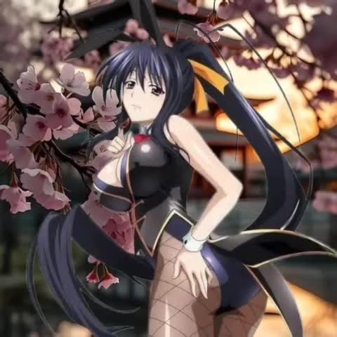 Akeno Himejima High School DXD 4k live wallpaper #highschooldxd #akenohimejima #akeno #waifu #livewallpaper