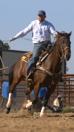 2025 NFR Practice Session featuring Tyler Wade & Wesley Thorp with guest appearances from 2024 AQHA Head Horse of the Year “Spur" and 3X AQHA Heel Horse of the Year “Turbo" now available to watch at XFactorRoping.com Practice Session #2 coming soon… 💥 | X Factor Roping