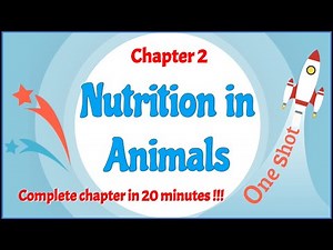 Class 7 Chapter 2 Nutrition in Animals OneShot - Complete chapter in 20 minutes !!! - LearnFatafat