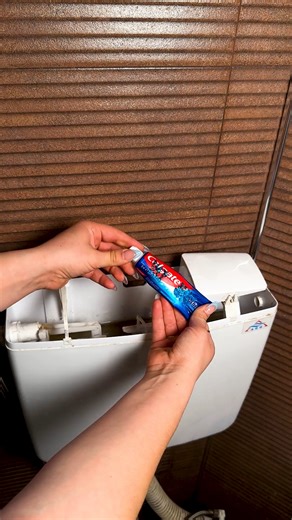 307K views · 89 reactions | Toothpaste hack for the toilet | Genius Club - Asia | Facebook