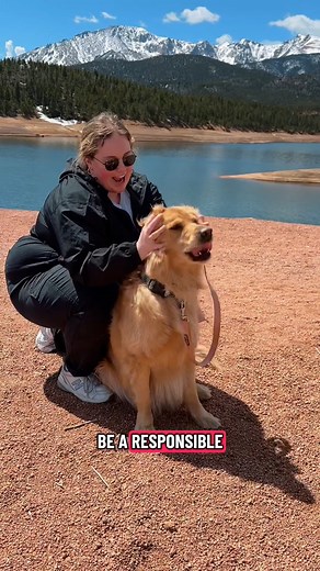 3K views · 83 reactions | Good dogs hike on-leash, stay on the trail, and never leave "souvenirs" behind!  | Pikes Peak - America's Mountain | Facebook