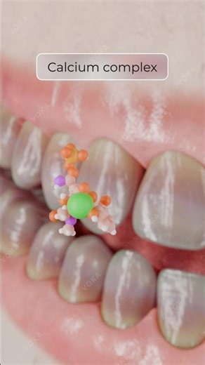 Tetracycline-Induced Tooth Discoloration Explained in 3D