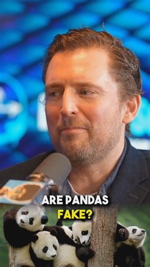 Sean Kelly on Instagram: "Are pandas real? Owen Benjamin explains why he doesn’t believe pandas are real. #panda #animal #bamboo"