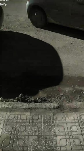 Bizarre Cat Transformation: Genie Revealed!