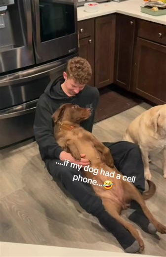 🥰 It's a good thing that Mocha doesn't have a cell phone.... 🤣 #chocolate #dog #dogs #labradorretriever #love #elkcreekgundogs | Elk Creek Gun Dogs