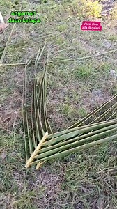 Tutorial tas anyaman daun kelapa Versi reels. . Full dan slow video ada di galeri Dwija PanJavas social media #tutorial #anyamandaunkelapa #coconutleafcraft #idekreatif #tas #bag #kerajinantangan #diy Dewa Ayu Triana Dewi Pengikut | Dwija PanJavas