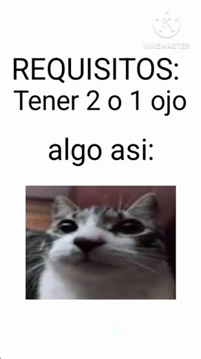 Tutorial de como despertar #viral #viral #yosoydelos7mil #humor