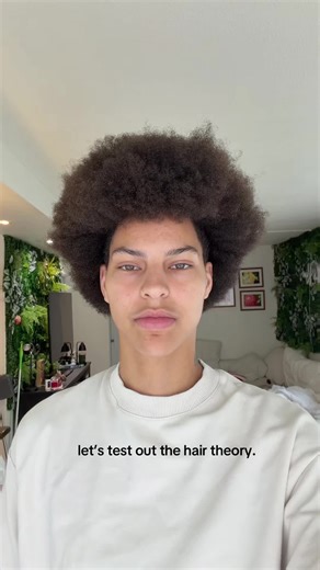 #fypシ | hair theory