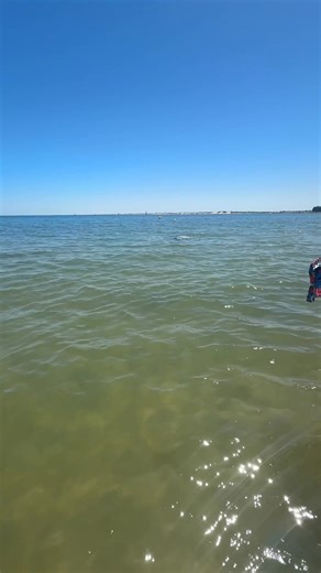 Bunbury - it’s a hidden (Dolphin-y) gem 💎 Not many people realise that just over 90 minutes south of Perth you have the opportunity to wade into the water with wonderful bottlenose dolphins 🐬. Guided by our knowledgeable staff and vollies (under Eco and Wildlife licenses) you can admire these incredible creatures up-close. And if that’s not close enough, you’re welcome to come on one of our top-rated Swim With Dolphins Tour or join us for an Eco Cruise (Dolphin-sighting guaranteed). All these 