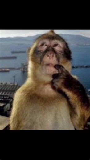 am i the only one? #gd #geometrydash