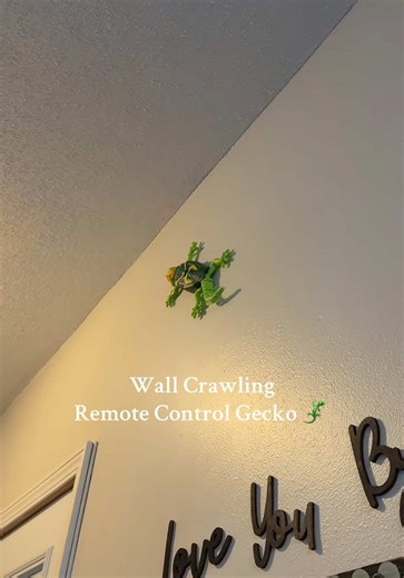 Wall crawling remote control gecko #giftsforkids #superbranddaybfcm#openyoursuperstory#tiktokshopblackfriday