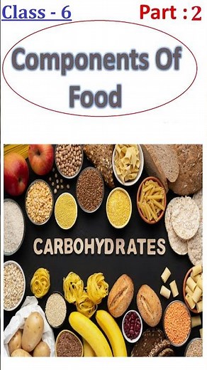 CBSE/NCERT Science Class6 (Components of Food)"Carbohydrates" Part - 2 #BrightIQ #Shorts