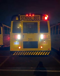 Thomas Built Buses on Reels