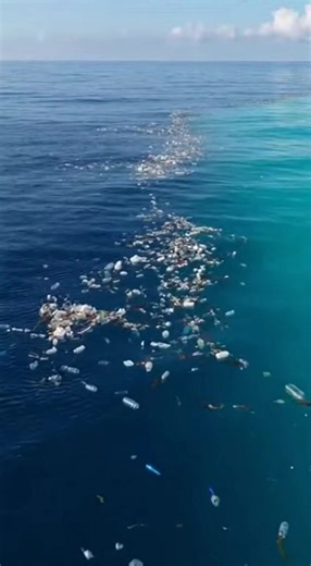 Engineers in the Netherlands have created a 600-meter floating system designed to collect plastic waste directly from the ocean’s surface. Often described as a “vacuum,” the system uses natural ocean currents to guide plastic debris into collection zones without harming marine life. Unlike traditional cleanup methods, this passive system requires minimal energy and can operate continuously in open water. It targets large plastic accumulations before they break down into microplastics. This techn