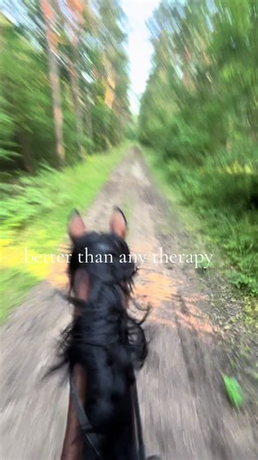 The Therapeutic Benefits of Horse Riding