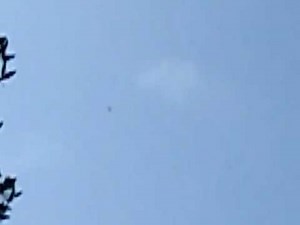 Η φωνή του αετού.