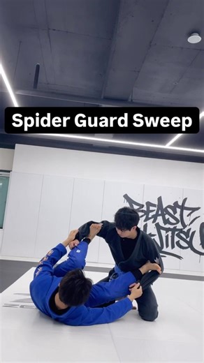 Send them FLYING! 🚀 (Spider Guard Sweep)