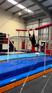 315K views · 7.2K reactions | Old dog, New tricks  | Ash Watson | Facebook