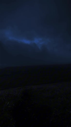 ‘ (@morph3d_)’s videos with world so empty - no.way.out