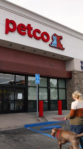 2.2K views | Got an old collar, leash or harness? Recycle it at your neighborhood Petco, and we'll give you 40% OFF a new one! Now through 11/14. | Petco | Facebook